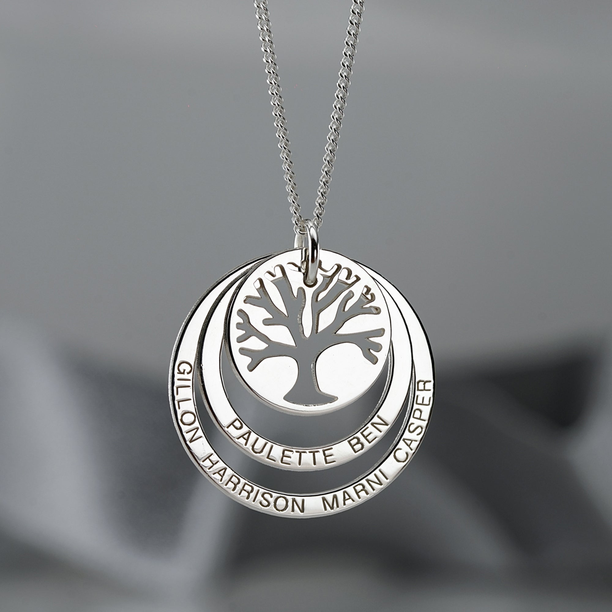 Sterling Silver Tree of Life Two Disc Family Circle Necklace